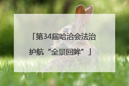 第34届哈洽会法治护航“全景回眸”