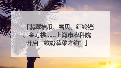 翡翠桔瓜、雪贝、红铃铛、金寿桃……上海市农科院开启“缤纷蔬菜之约”