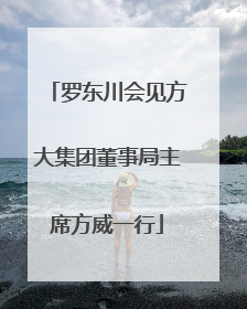 罗东川会见方大集团董事局主席方威一行