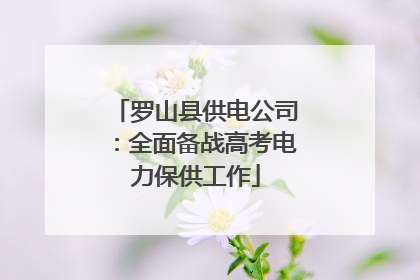 罗山县供电公司：全面备战高考电力保供工作