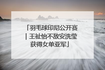 羽毛球印尼公开赛｜王祉怡不敌安洗莹 获得女单亚军