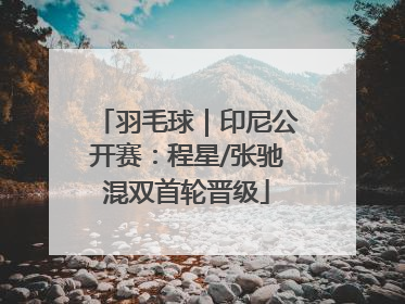 羽毛球｜印尼公开赛：程星/张驰混双首轮晋级