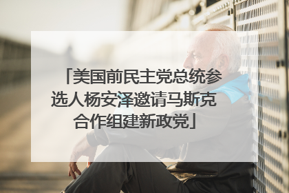 美国前民主党总统参选人杨安泽邀请马斯克合作组建新政党