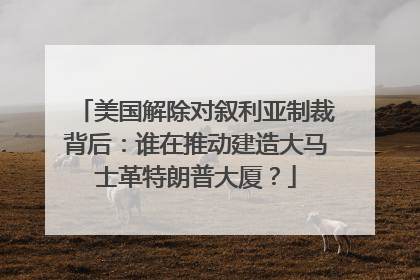 美国解除对叙利亚制裁背后：谁在推动建造大马士革特朗普大厦？