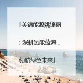 美锦能源姚锦丽：深耕氢能蓝海，领航绿色未来