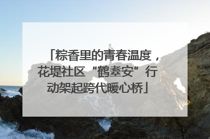 粽香里的青春温度，花堤社区“鹤耋安”行动架起跨代暖心桥