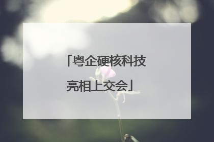 粤企硬核科技亮相上交会