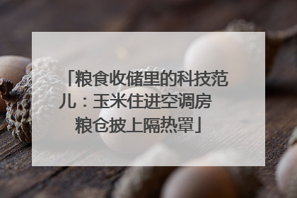 粮食收储里的科技范儿：玉米住进空调房 粮仓披上隔热罩
