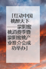 红动中国 桃醉天下——蒙阴蜜桃消费季暨蒙阴蜜桃产业推介会成功举办