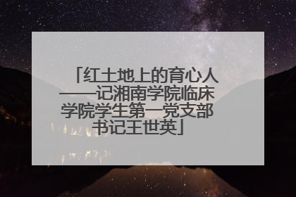 红土地上的育心人——记湘南学院临床学院学生第一党支部书记王世英