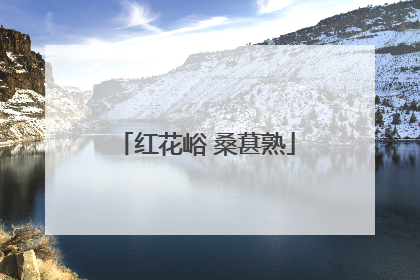 红花峪 桑葚熟