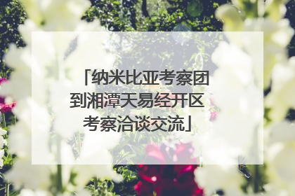 纳米比亚考察团到湘潭天易经开区考察洽谈交流