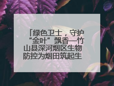 绿色卫士，守护“金叶”飘香—竹山县深河烟区生物防控为烟田筑起生态屏障
