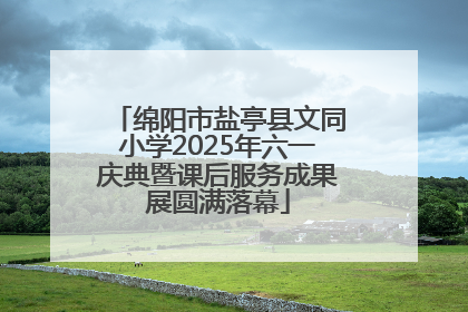 绵阳市盐亭县文同小学2025年六一庆典暨课后服务成果展圆满落幕