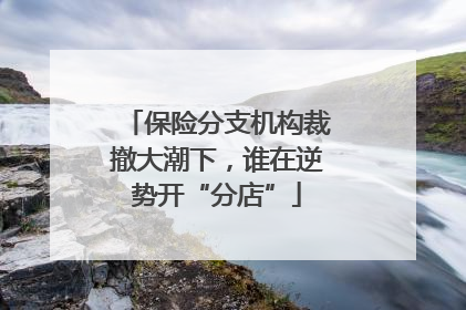 保险分支机构裁撤大潮下，谁在逆势开“分店”