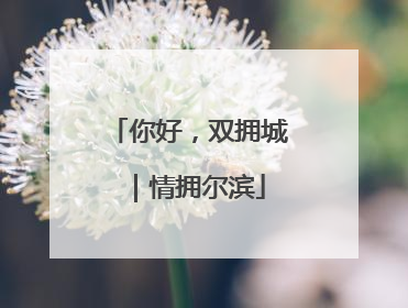 你好，双拥城｜情拥尔滨