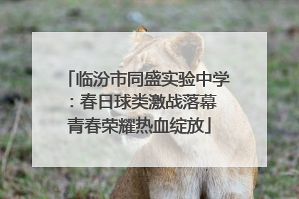 临汾市同盛实验中学：春日球类激战落幕 青春荣耀热血绽放