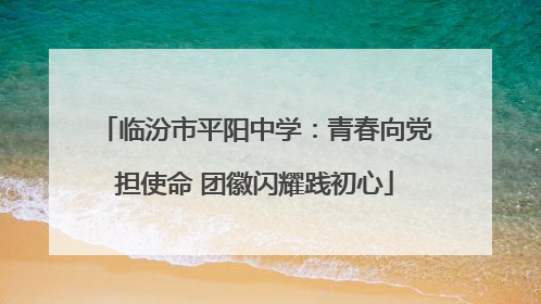 临汾市平阳中学：青春向党担使命 团徽闪耀践初心