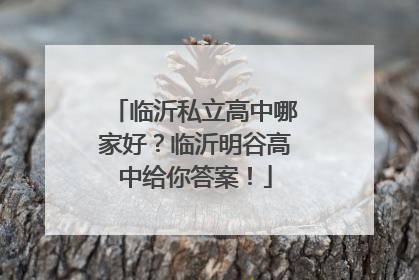 临沂私立高中哪家好？临沂明谷高中给你答案！