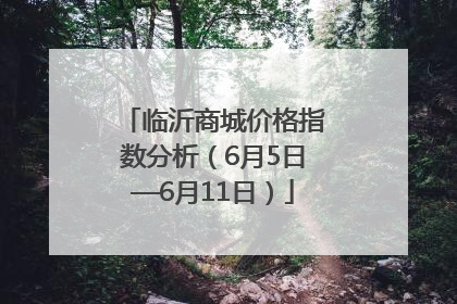 临沂商城价格指数分析（6月5日—6月11日）