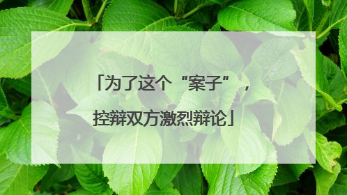 为了这个“案子”，控辩双方激烈辩论