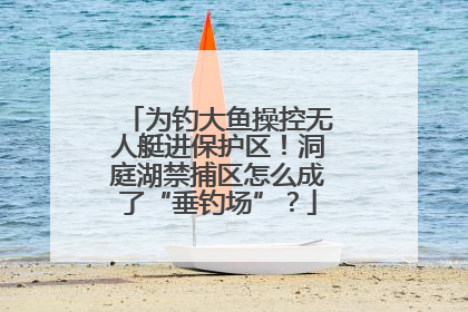 为钓大鱼操控无人艇进保护区！洞庭湖禁捕区怎么成了“垂钓场”？