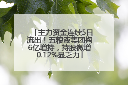 主力资金连续5日流出！五粮液集团掏6亿增持，持股微增0.12%显乏力
