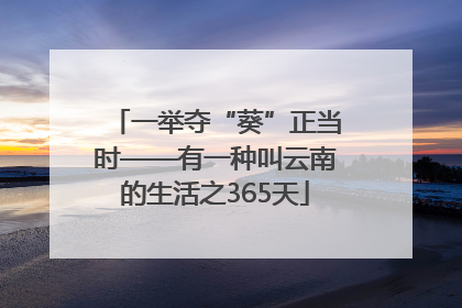 一举夺“葵”正当时——有一种叫云南的生活之365天