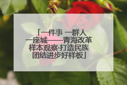一件事 一群人 一座城——青海改革样本观察·打造民族团结进步好样板