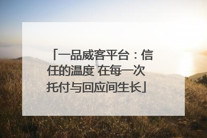 一品威客平台：信任的温度 在每一次托付与回应间生长