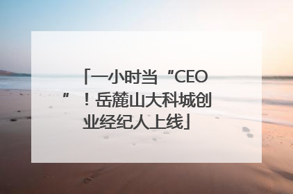 一小时当“CEO”！岳麓山大科城创业经纪人上线