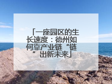 一座园区的生长速度：德州如何靠产业链“链”出新未来