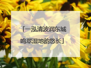 一泓清波润东城 鸣翠湿地韵悠长