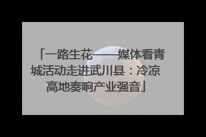 一路生花——媒体看青城活动走进武川县：冷凉高地奏响产业强音