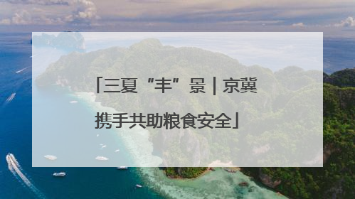 三夏“丰”景｜京冀携手共助粮食安全
