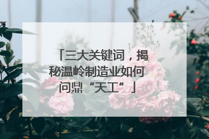 三大关键词，揭秘温岭制造业如何问鼎“天工”