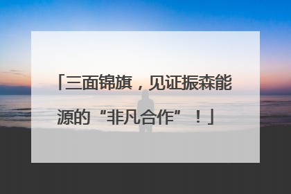 三面锦旗，见证振森能源的“非凡合作”！