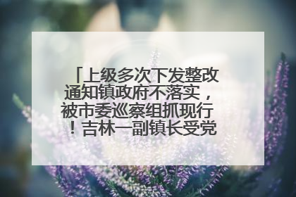上级多次下发整改通知镇政府不落实，被市委巡察组抓现行！吉林一副镇长受党内警告处分