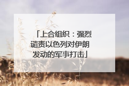 上合组织：强烈谴责以色列对伊朗发动的军事打击