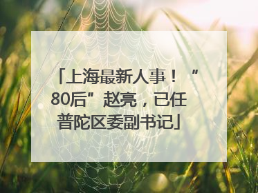 上海最新人事！“80后”赵亮，已任普陀区委副书记