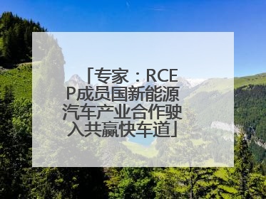 专家：RCEP成员国新能源汽车产业合作驶入共赢快车道