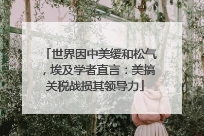 世界因中美缓和松气，埃及学者直言：美搞关税战损其领导力