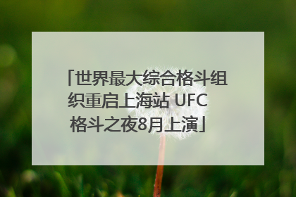 世界最大综合格斗组织重启上海站 UFC格斗之夜8月上演