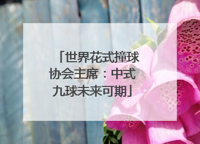 世界花式撞球协会主席：中式九球未来可期