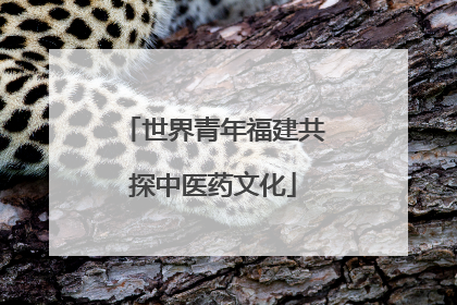 世界青年福建共探中医药文化