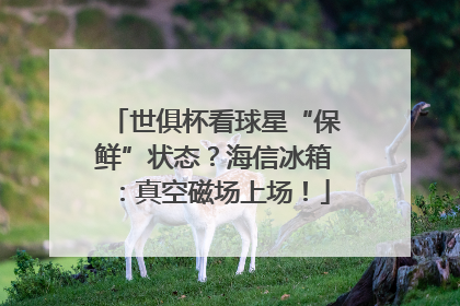 世俱杯看球星“保鲜”状态？海信冰箱：真空磁场上场！