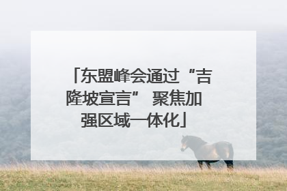 东盟峰会通过“吉隆坡宣言” 聚焦加强区域一体化
