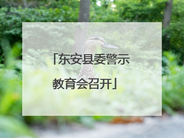 东安县委警示教育会召开