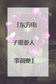 东方电子重要人事调整