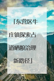 东营区牛庄镇探索占道晒粮治理新路径